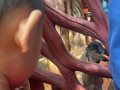 -长鹿旅游休博园