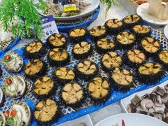 -开海·红岛海鲜虾水饺(石老人店)