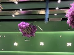 -浩海火烧云傣家菜(京广店)