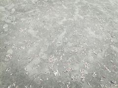 -江山半岛白浪滩景区