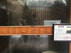 -上海大自然野生昆虫馆(东方明珠·爬宠昆虫探索中心)