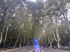 -WeLope紫金山探险公园