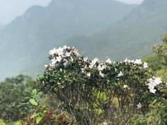 -七娘山