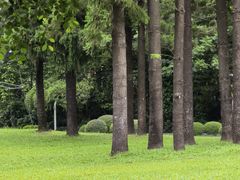 -人民公园(罗湖区)