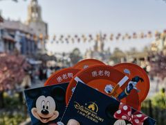 -上海迪士尼度假区