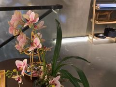 -施奈儿.洗头頭療.按摩SPA.采耳(上梅林店)