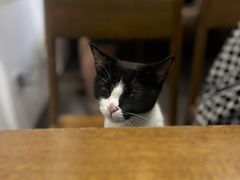 -原田新料理(1912店)