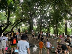 -成都市活水公园