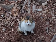 -崂山巨峰游览区