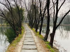 -西溪国家湿地公园