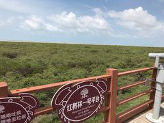 -北海金海湾红树林生态旅游区