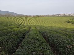 -敬亭山风景名胜区