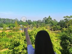 -南沙蒲洲花园