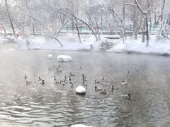-水磨沟公园