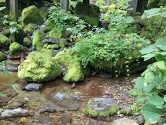 -神农架景区
