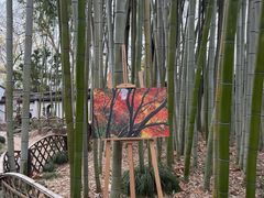 -秋霞圃