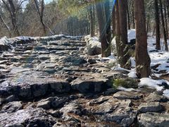 -北京鹫峰国家森林公园