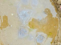 -青岛金沙滩
