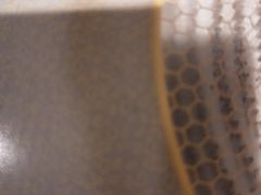 -领鲜天下·焗海鲜·花胶鸡(天目里店)