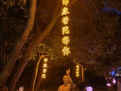 -印象普陀