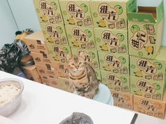 -安格丽娜·狗咖·猫咖羊驼咖(春熙路百盛商场店)