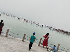 -青海茶卡盐湖文化旅游发展股份有限公司