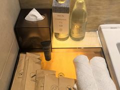 -芽庄喜来登水疗酒店