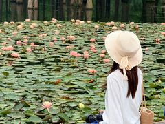 -白鹭湾湿地公园