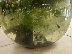 -苏州现代传媒广场商业