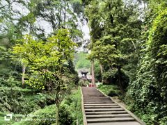 -青城山