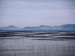 -北岐滩涂
