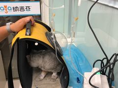 -纳吉亚猫专科动物诊疗中心(蒋宅口分院)