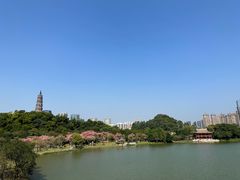 -顺峰山公园