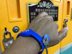 -珠海市体育中心-游泳馆