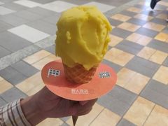 -野人先生现做冰淇淋(西安赛格店)