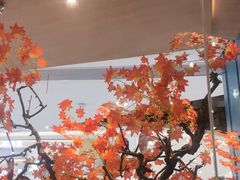 -老屋印象·酸菜鱼新川菜(义乌之心店)