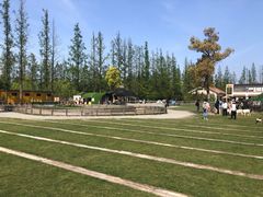 -前小桔亲子创意农场·草莓采摘·露营烧烤