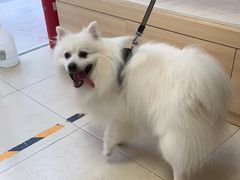 -宠福鑫康馨动物医院·骨科·眼科