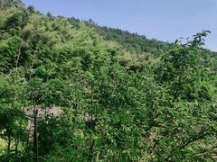 -九龙潭景区