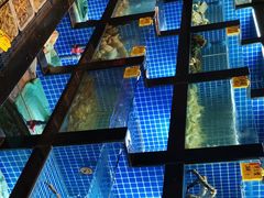 -徽三说·土徽菜·中国徽菜连锁品牌(一中店)