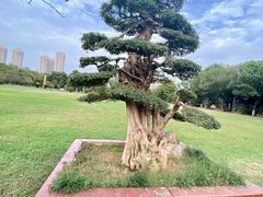 -汉水公园