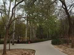 -元大都城垣遗址公园