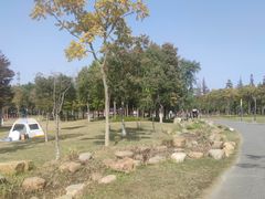 -上海长兴岛郊野公园