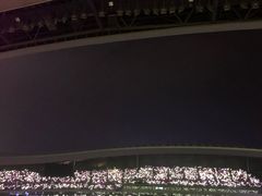 -大连体育中心体育馆