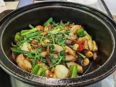 -石岐乳鸽村(南海第三分店)