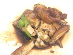 豉油鸡-南山鲜虾面·活鲜小馆·海味大连菜(南山总店)