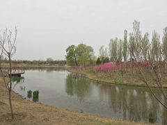 -东郊湿地公园
