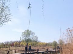 -马家湾湿地公园