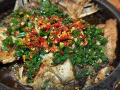 -聚鑫朋酸菜肥肠(文艺路口店)