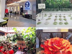 -闻见中国海南菜(K11店)